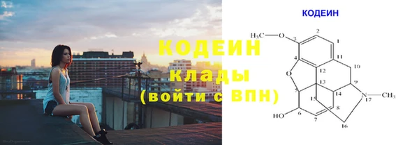 молекула духа Волосово