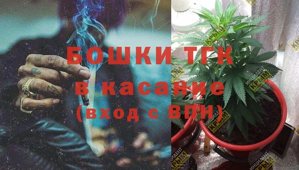 молекула духа Волосово