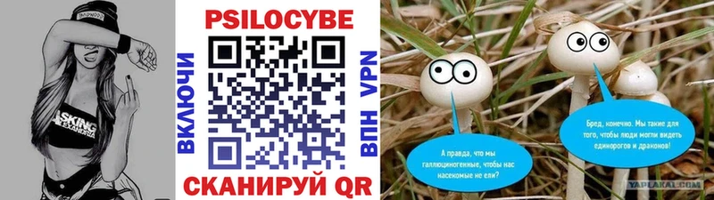 купить наркотики цена  Оренбург  Псилоцибиновые грибы Magic Shrooms 